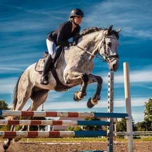 horse-jump