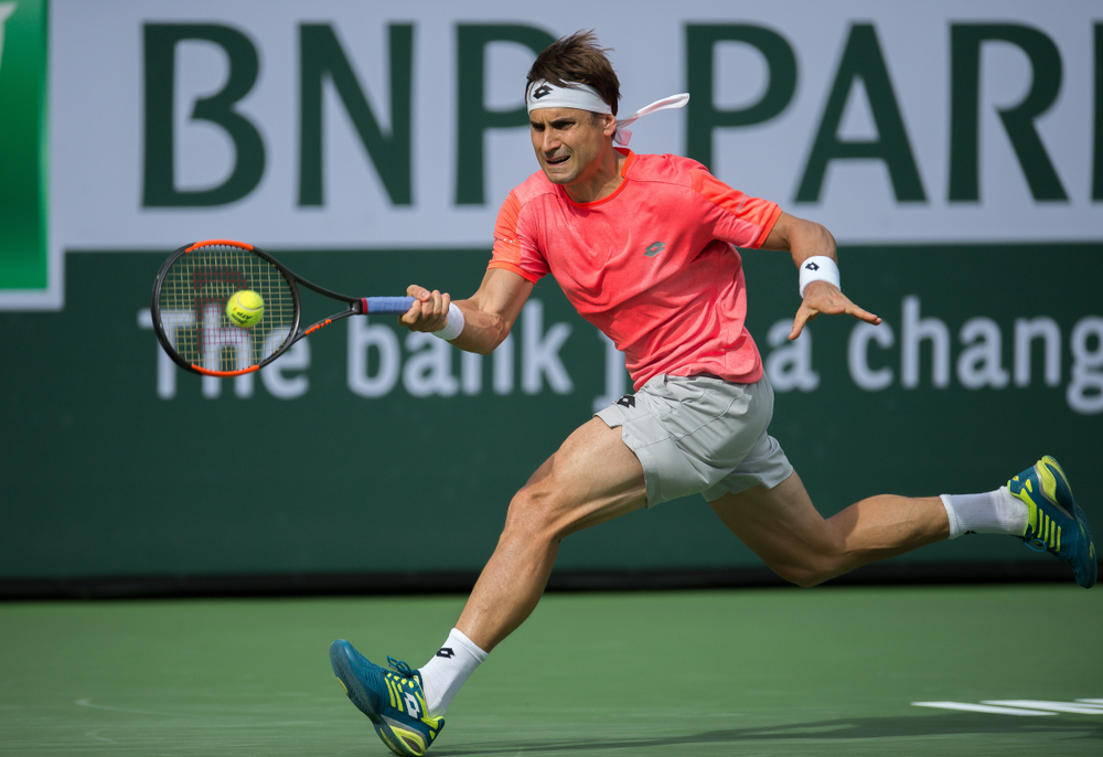 David Ferrer - is this the end of the career? - Marbella Club Hills