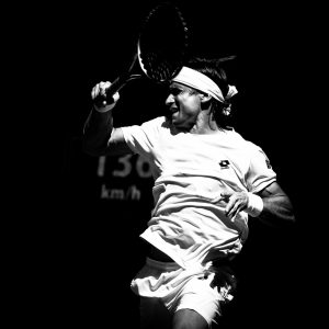David Ferrer