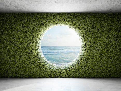 Vertical garden with views on the sea