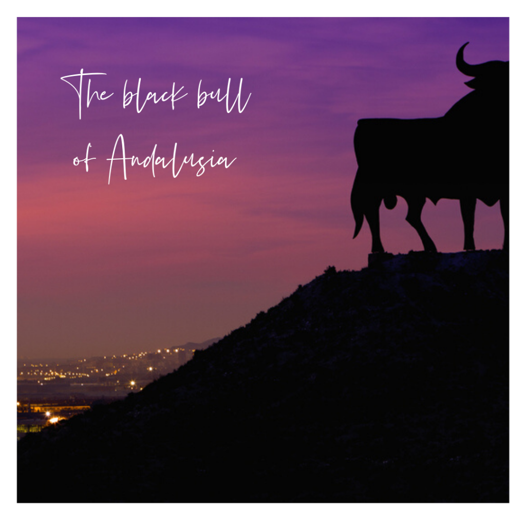 Black bull at sunset Andalusia