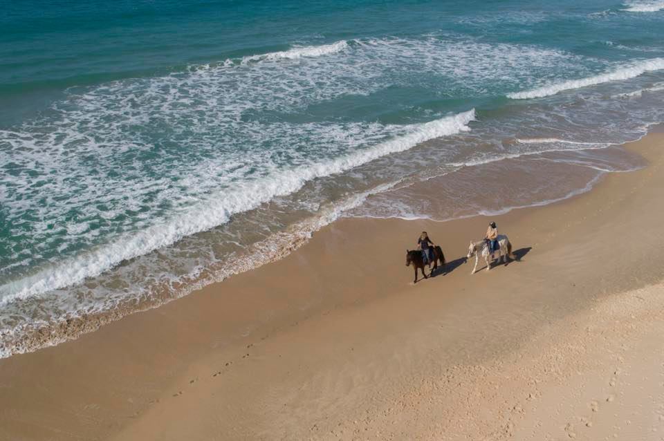 tarifa horse riding 