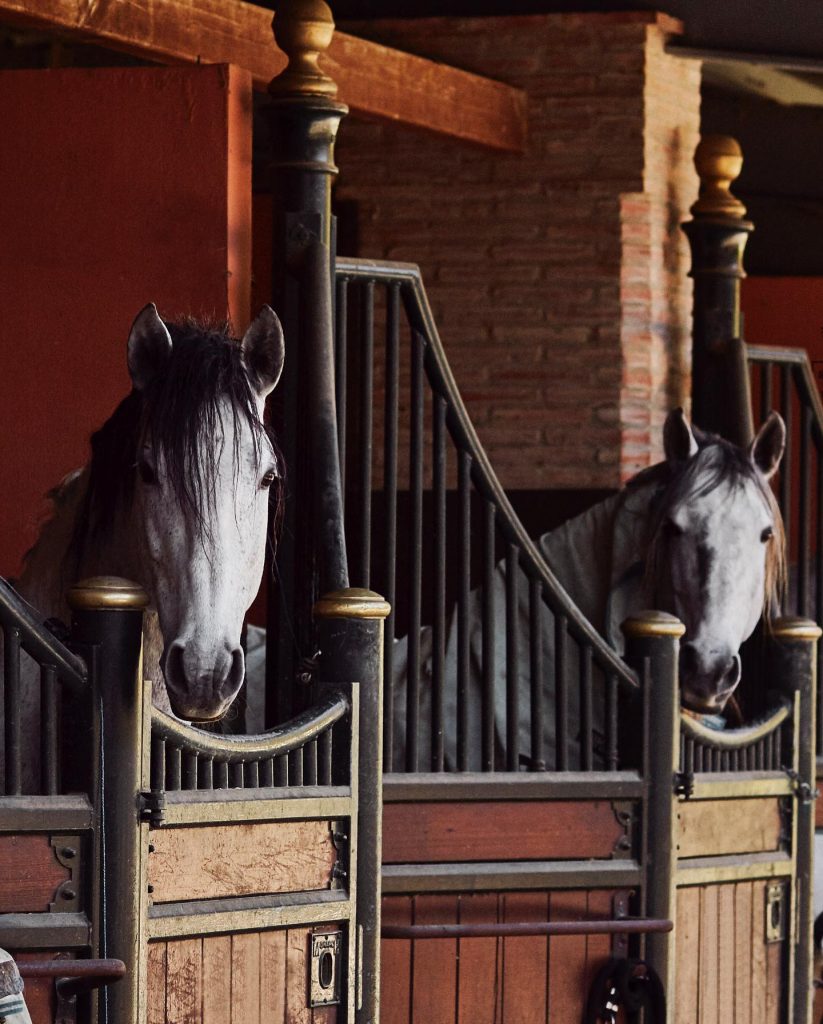 Marbella Club Equestrian Centre for MCH community